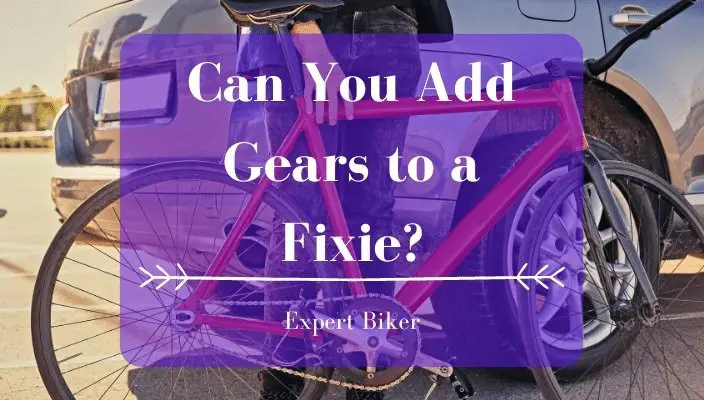 adding gears to a single speed bike