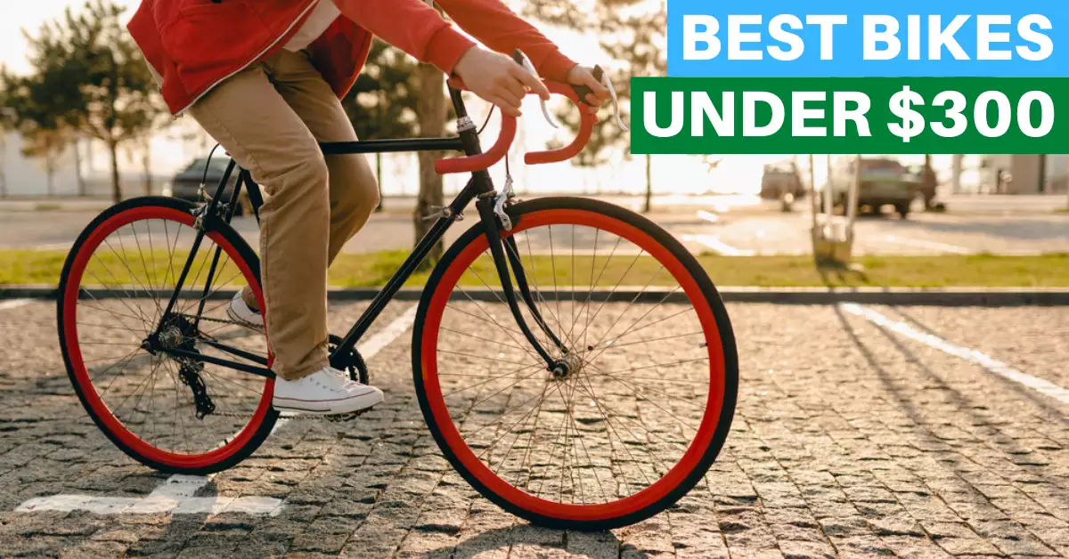 12 Best Bikes Under $300