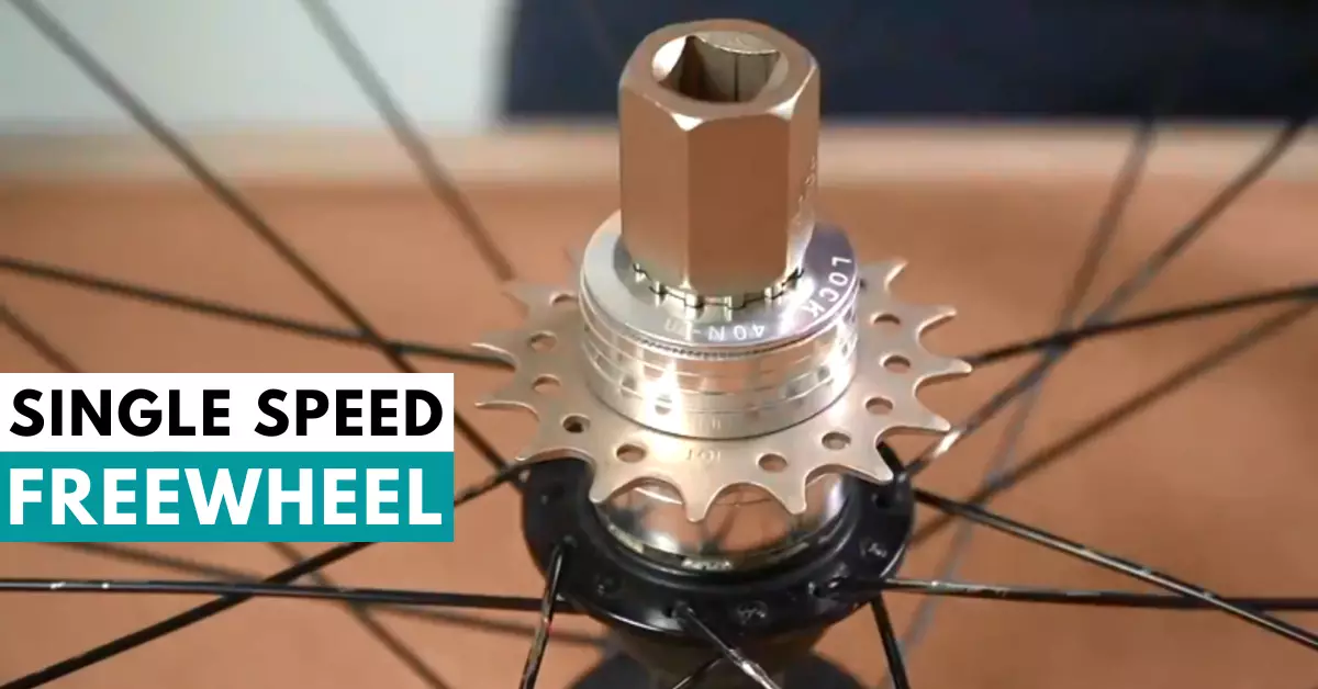 5 Best Single Speed Freewheels