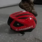 Why Are Bike Helmets So Expensive