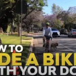 Is It Legal To Ride A Bike With A Dog