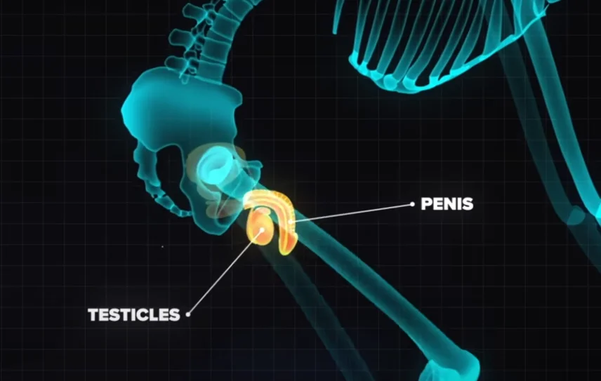 Causes of Discomfort